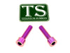 Titanium Caliper Bolts - Surron Ultra Bee Front Only