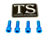 Titanium E-Moto Brake Handle-Mount Bolts