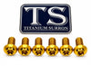 Front Rotor Screws - Surron, Talaria, Segway Titanium
