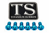 Front Rotor Screws - Surron, Talaria, Segway Titanium