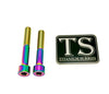 Titanium Hardware for EMoto Worx Shift Lock (LBX, XXX, ERP, Ultra Bee)