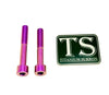 Titanium Hardware for EMoto Worx Shift Lock (LBX, XXX, ERP, Ultra Bee)