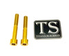Titanium Hardware for EMoto Worx Shift Lock (LBX, XXX, ERP, Ultra Bee)