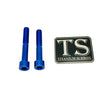 Titanium Hardware for EMoto Worx Shift Lock (LBX, XXX, ERP, Ultra Bee)