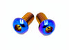 Titanium Ignition Cover Bolts (Set of Two M5) Talaria Titanium Surron