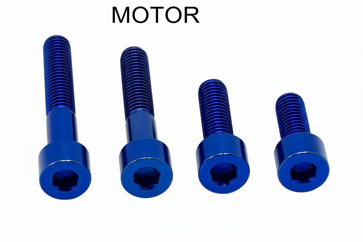 Titanium Motor Bolts - E-Ride Pro ERP Titanium Surron