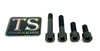 Titanium Motor Bolts - E-Ride Pro ERP Titanium Surron