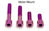 Titanium Motor Bolts - E-Ride Pro ERP Titanium Surron