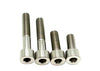Titanium Motor Bolts - Surron LBX Titanium Surron