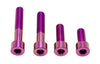 Titanium Motor Bolts - Talaria XXX - LiveTheGnar