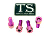 Titanium Peg Bracket Bolts - Surron, Talaria, E-Ride (Set of 4)