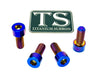Titanium Peg Bracket Bolts - Surron, Talaria, E-Ride (Set of 4)