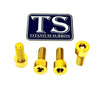 Titanium Peg Bracket Bolts - Surron, Talaria, E-Ride (Set of 4)