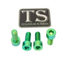 Titanium Peg Bracket Bolts - Surron, Talaria, E-Ride (Set of 4)