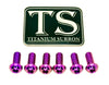 Titanium Rear Rotor Screws - Surron, Talaria, E-moto