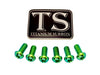 Titanium Rear Rotor Screws - Surron, Talaria, E-moto