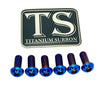Titanium Rear Rotor Screws - Surron, Talaria, E-moto