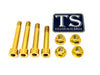 Rear Suspension/ Linkage Bolt Kit for Surron LBX & Segway X260 Titanium Surron