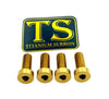 Talaria XXX Seat Subframe or Foot Peg Titanium Bolts (4) Titanium Surron