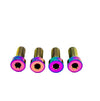 Talaria XXX Seat Subframe or Foot Peg Titanium Bolts (4)