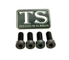 Talaria XXX Seat Subframe or Foot Peg Titanium Bolts (4)