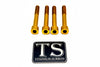 Titanium Stem Bolt Kit Altis Sigma (4 pcs)