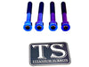 Titanium Stem Bolt Kit Altis Sigma (4 pcs) Titanium Surron