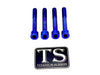 Titanium Stem Bolt Kit Altis Sigma (4 pcs) Titanium Surron
