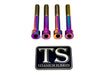 Titanium Stem Bolt Kit Altis Sigma (4 pcs) Titanium Surron