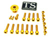 Titanium Surron Ultra Bee OEM Fork Bolt Kit
