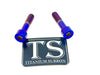 Titanium Triangle OEM Style Bolts - Surron LBS LBX, Segway X160 X260 (2) Titanium Surron