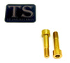 Titanium Triangle OEM Style Bolts - Surron LBS LBX, Segway X160 X260 (2) Titanium Surron