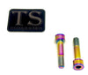 Titanium Triangle OEM Style Bolts - Surron LBS LBX, Segway X160 X260 (2) Titanium Surron