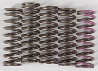 High Temp Springs 5 Springs HINSON