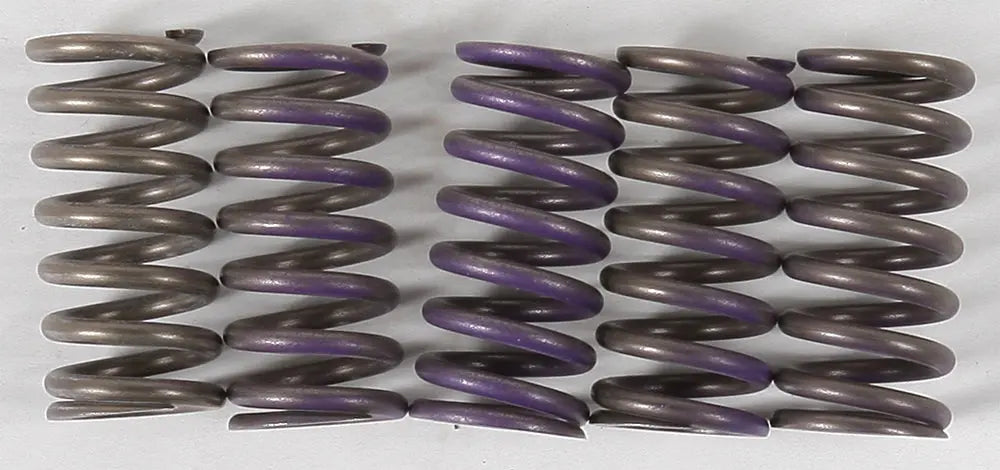 High Temp Springs 5 Springs HINSON