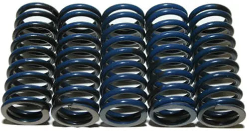 High Temp Springs 5 Springs HINSON