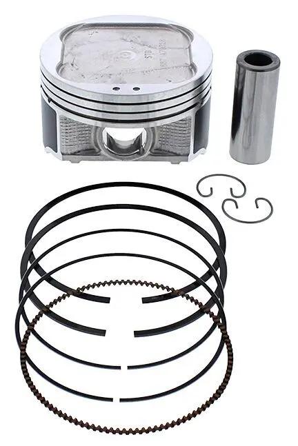 Piston Kit Cast 91.98/Std 10.2:1 Pol VERTEX